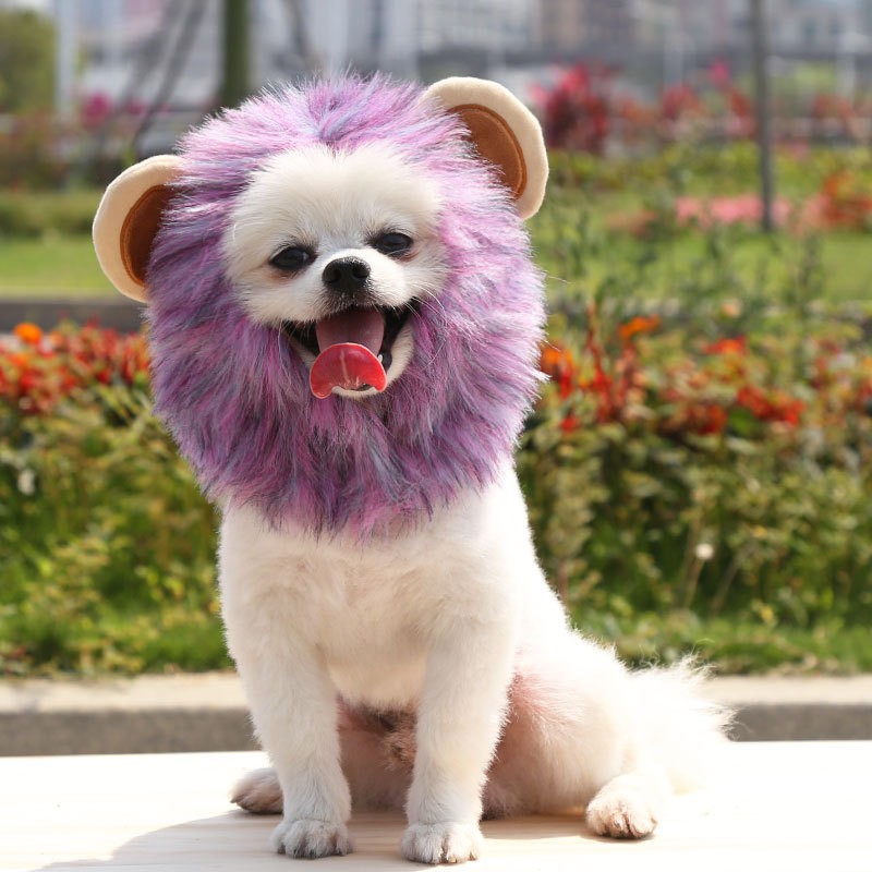 Pet Headgear Manufacturer - Hot-selling Cute Lion Transformation Maned Wig Hats