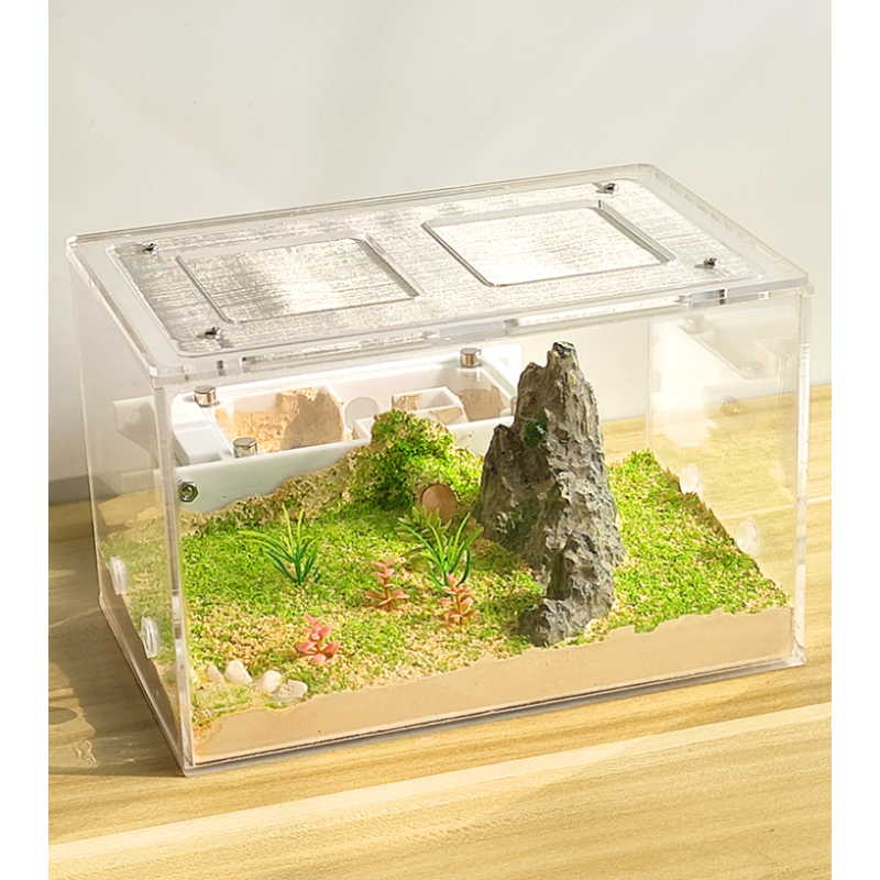 Lizard Terrarium Factory - Custom Transparent Acrylic Mesh Lid