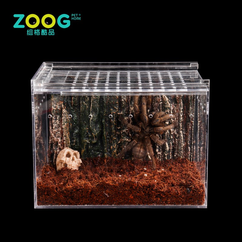 Lizard Terrarium Manufacturer - Factory Supply Portable Acrylic