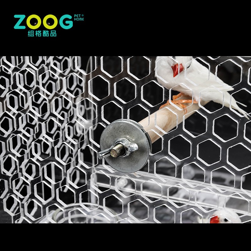 Hanging Bird Cage Factory - High Quality Clear Portable Acrylic