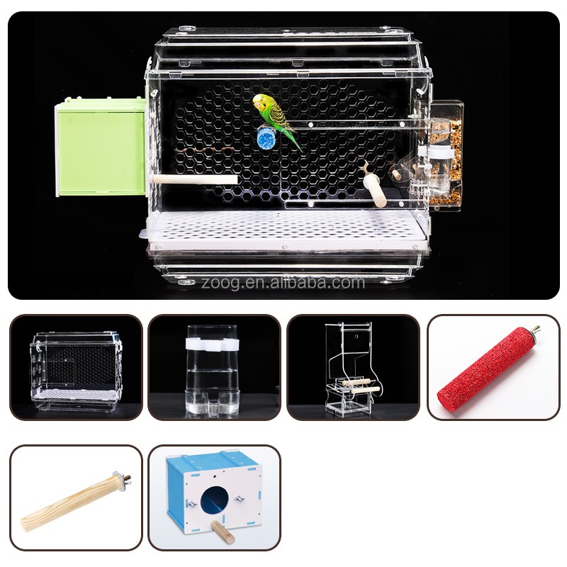 Pet Bird Cage Factory - Clear Acrylic Parrot Cage Design