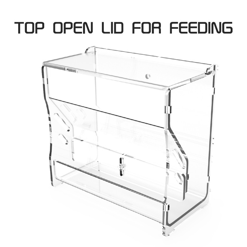 Parrot Food Feeder Factory - 2022 New Automatic Acrylic Bowls