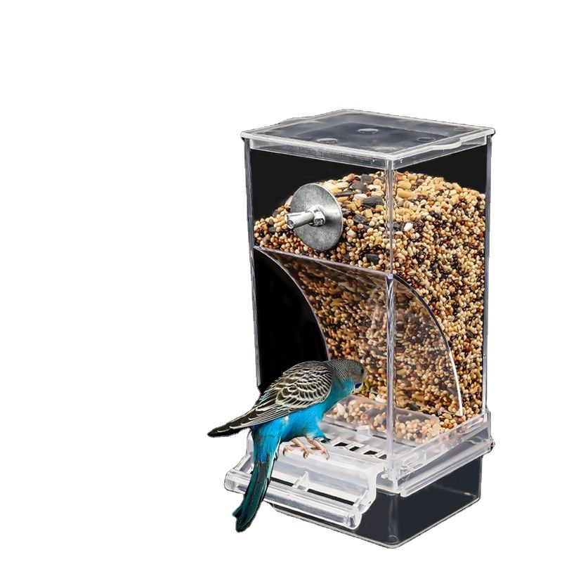 Automatic Bird Feeder Factory - Factory Acrylic Canaries Parrot