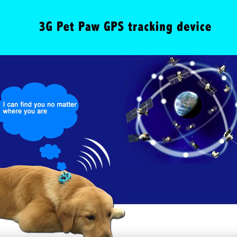 GPS Pet Collar Supplier - for Sheep Cow Goat Animals with Micro Chip Tracking