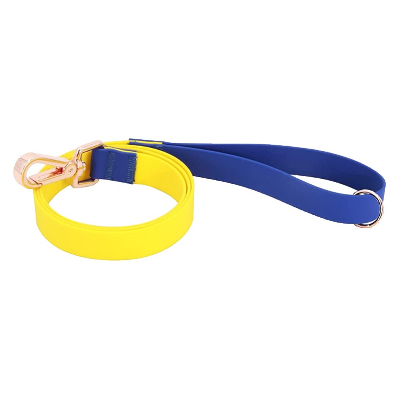 Pet Collar Leash Supplier - Custom Nylon Rubber Silicone UV-Resistant Waterproof