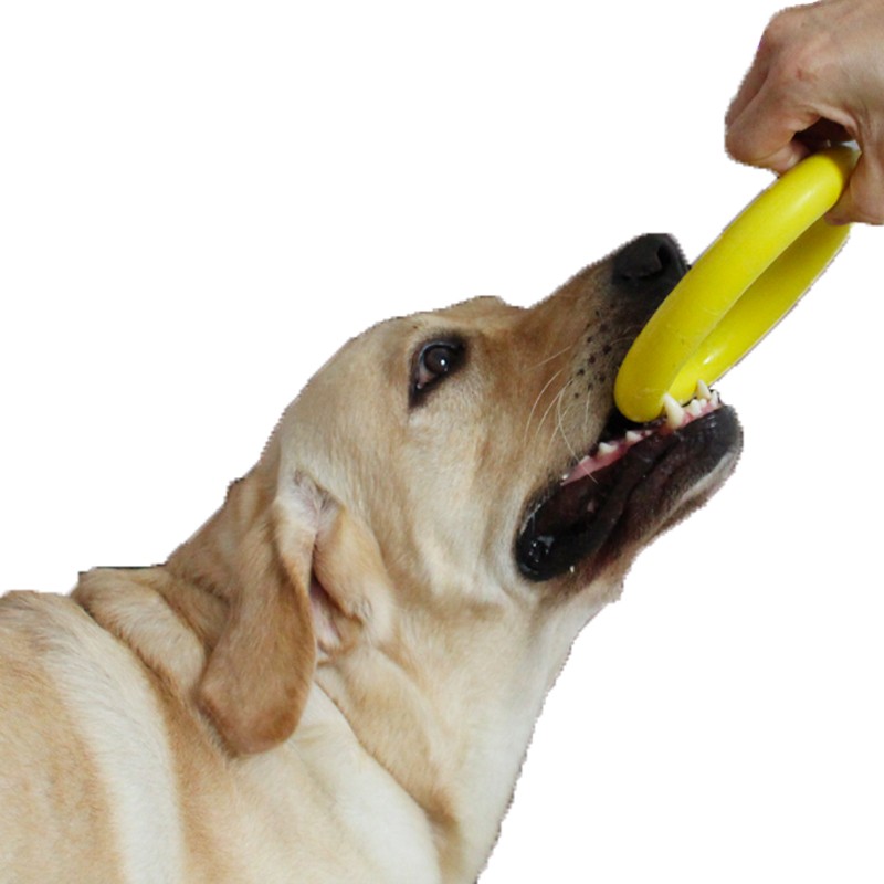 Dog Chew Toys Manufacturer - Eco-Friendly Ring Chew Toys Durable Rubber Pet Toy