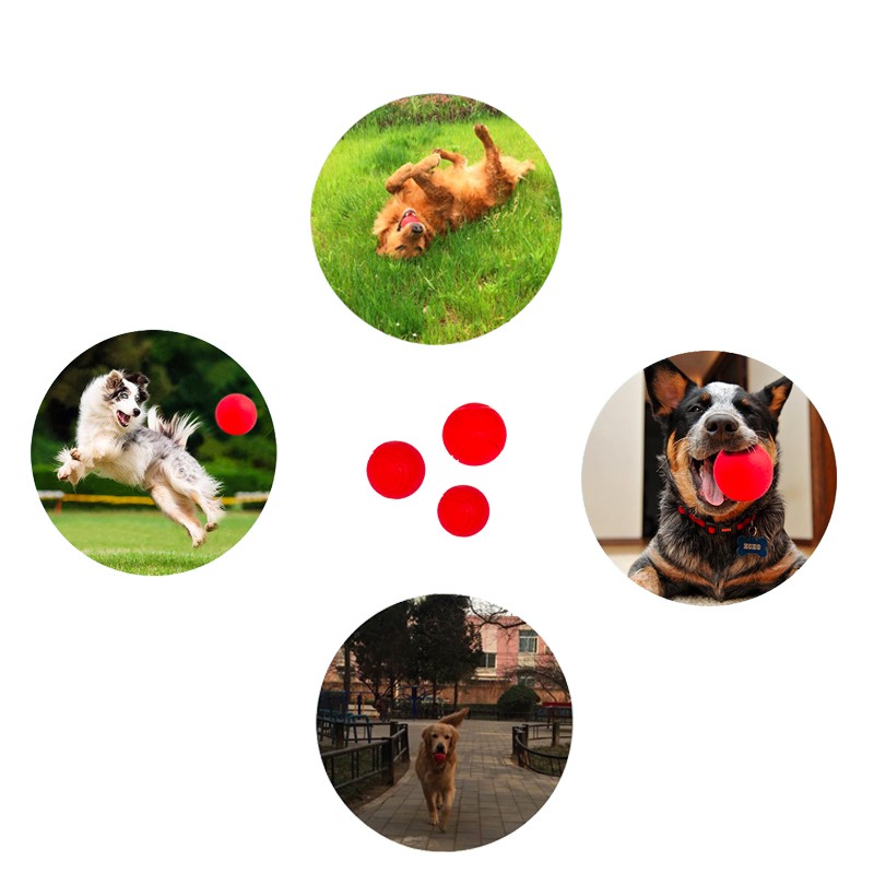 Pet Ball Toys Supplier - Modern Eco-Friendly TPR Small Interactive 5cm Rubber with Rope