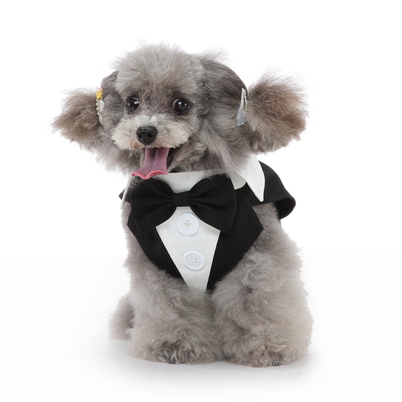 Puppy Tuxedo Supplier - Wholesale Luxury XS Size Polyester Plush Wedding Seasonal