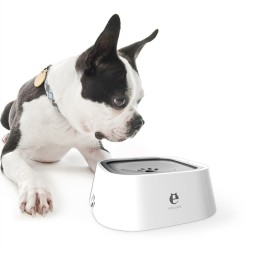 Dog Water Bowl Supplier - Hot Selling Splash-proof Large Capacity