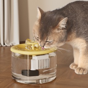 Pet Water Fountain Factory - BPA Free PP Carbon Filter USB