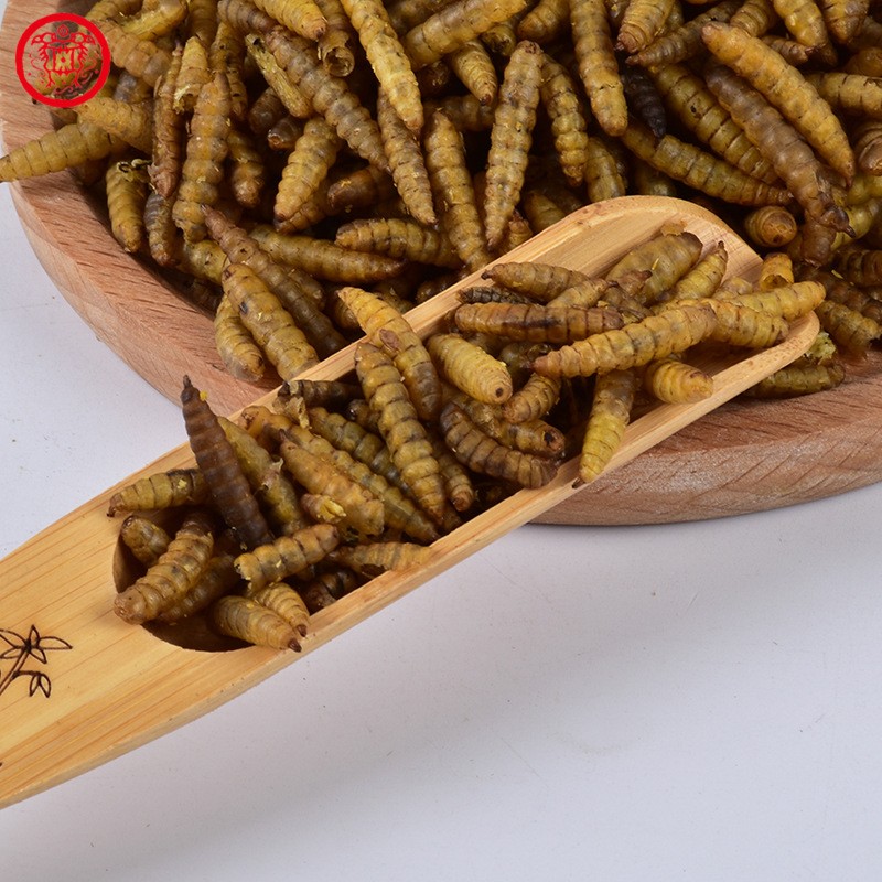 Dried Black Soldier Fly Larvae Supplier - 100% Natural High Calcium