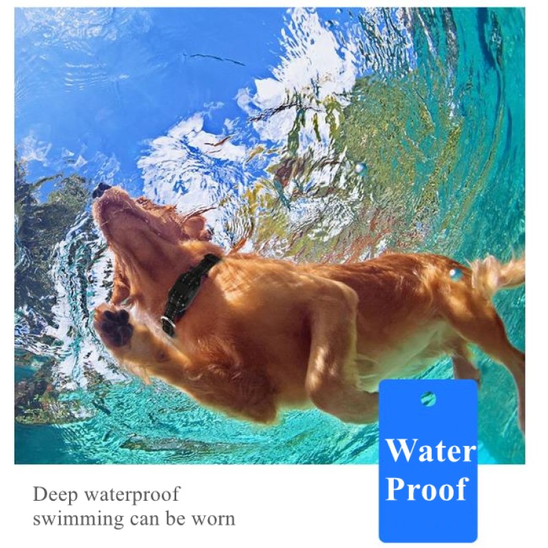 Dog Training Collar Factory - Hot Sale Electric Remote Control