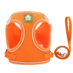 Pet Collar /Leash / Harness