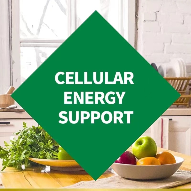 Vegan Supplement Tablets Supplier - Best Selling Immune Vitamins Iron for Adults Kids