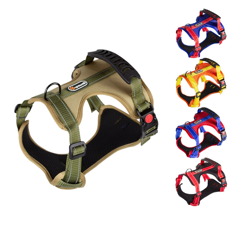 Dog Clothing Manufacturer - Fadou Keji Autumn Winter Cotton-Padded Wholesale