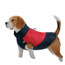 Winter Pet Clothes Factory - Cross-Border for Small Medium-sized Dogs Cotton-Padded