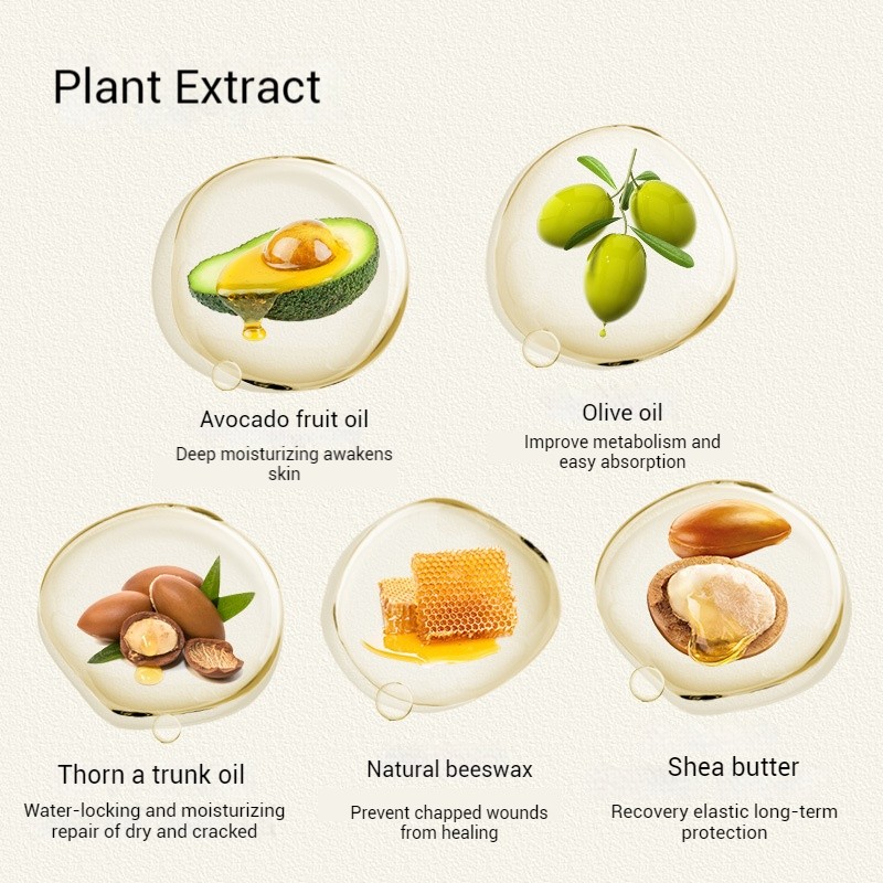 Pet Ear Cleaning Supplier - 110-Piece Cotton Swab Set Essential Oil Earwax Removal