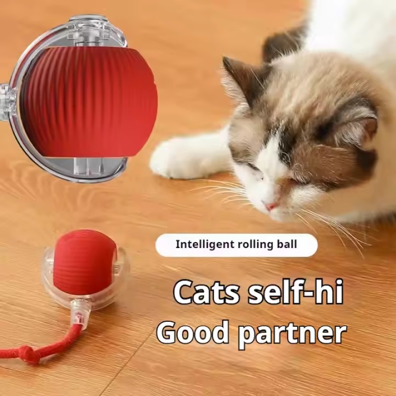 Pet Toy Supplier - Smart Interactive Indoor Automatic Moving Bouncing Ball with Lights