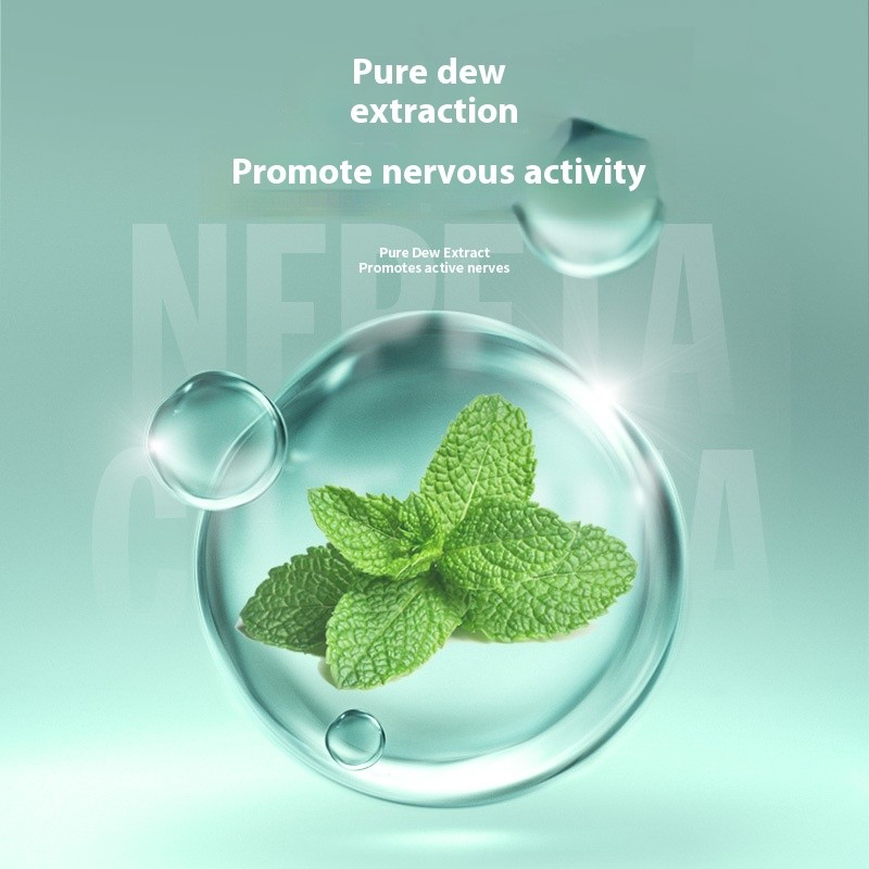 Pet Dry Shampoo Supplier - 260g Dry Cleaning Powder Deodorizing Shower Gel