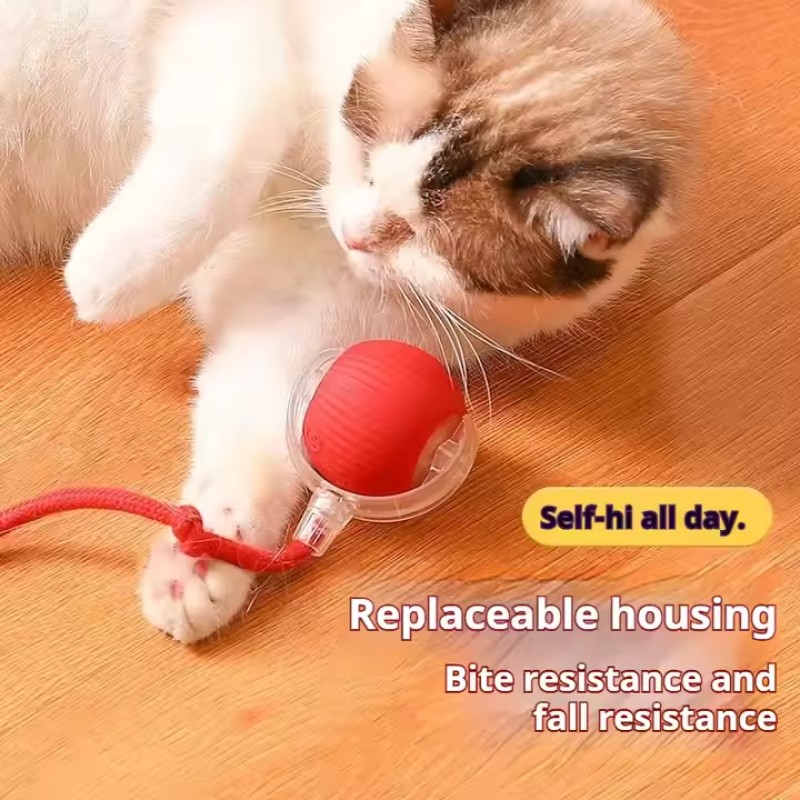 Pet Toy Supplier - Smart Interactive Indoor Automatic Moving Bouncing Ball with Lights