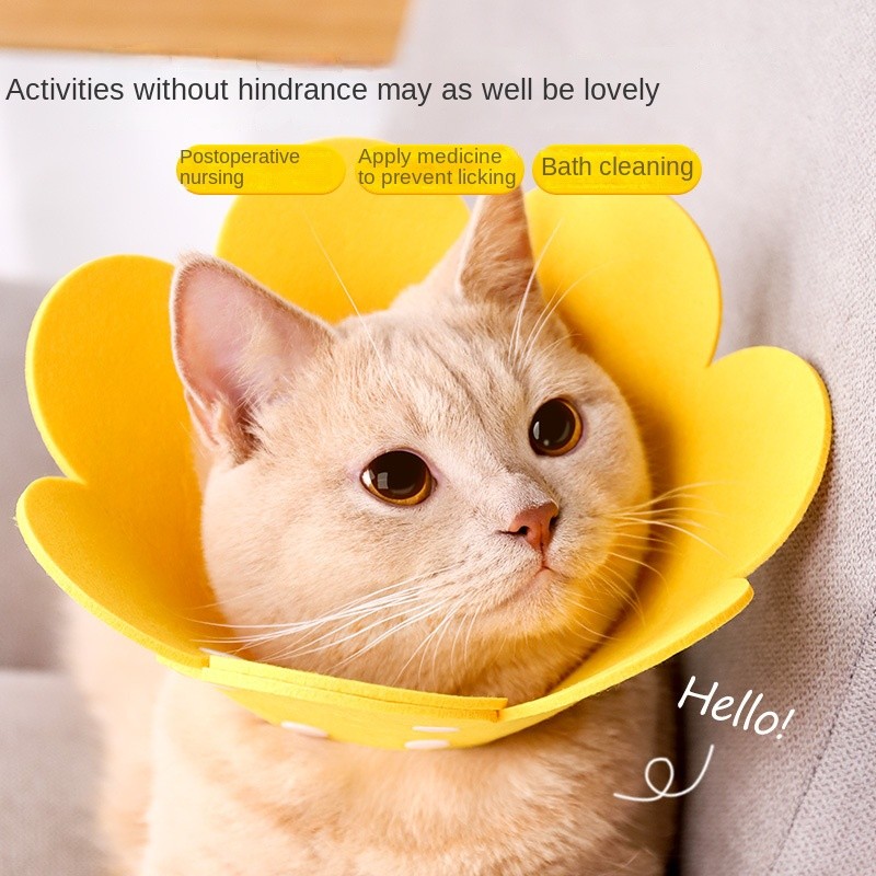 Anti-Cat Net Supplier - Wholesale Solid Pattern Isolation Mat Balcony Gardening