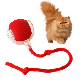 Pet Interactive Toy Supplier - 2025 New Eco-Friendly Ball with Tail Automatic Teaser