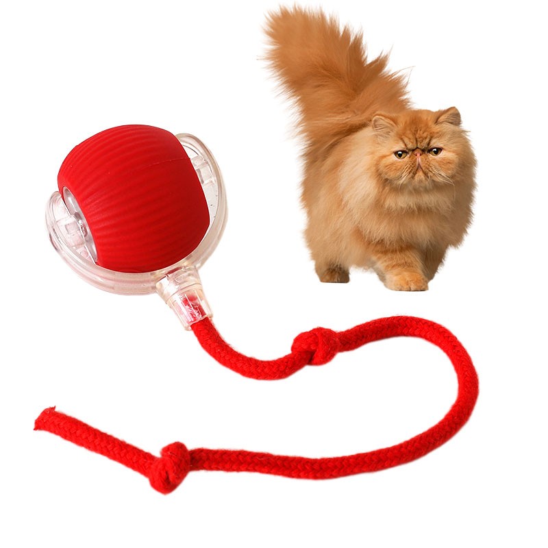 Pet Interactive Toy Supplier - 2025 New Eco-Friendly Ball with Tail Automatic Teaser