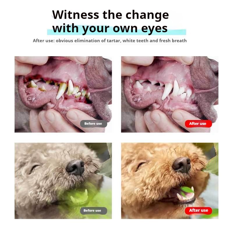 Probiotic Oral Care Supplier - Teeth Cleaning Water Oral Stone Odor Remover