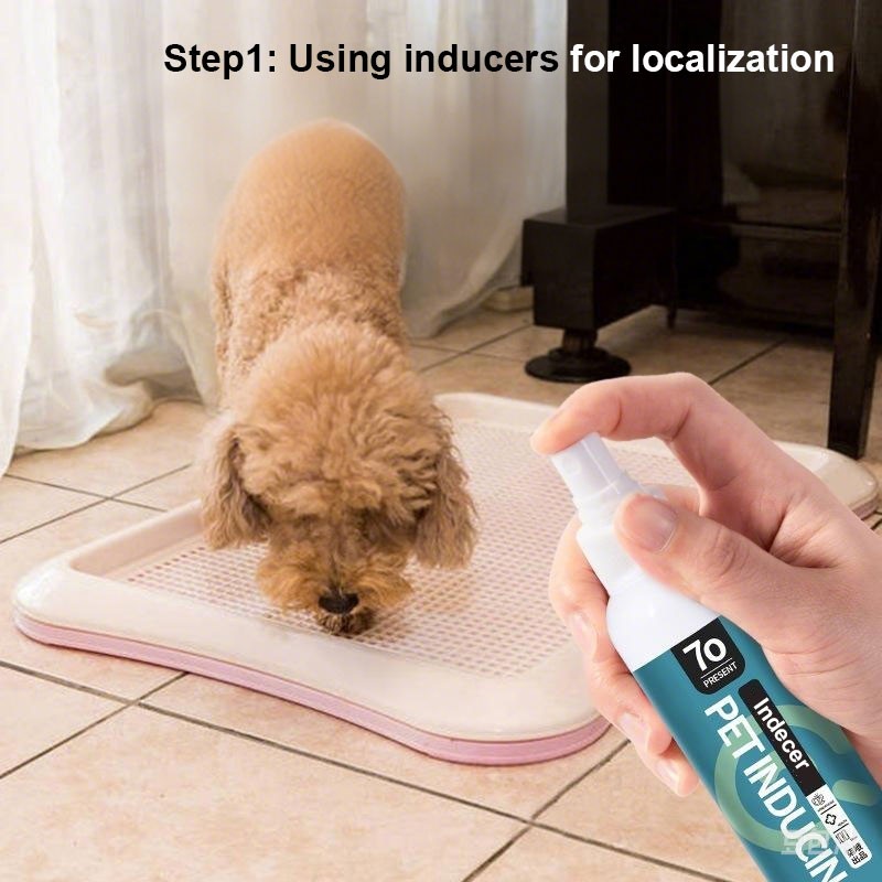 Pet Attraction Spray Manufacturer - 60ML Soothing Cat Mint Spray Happy Water Inducer