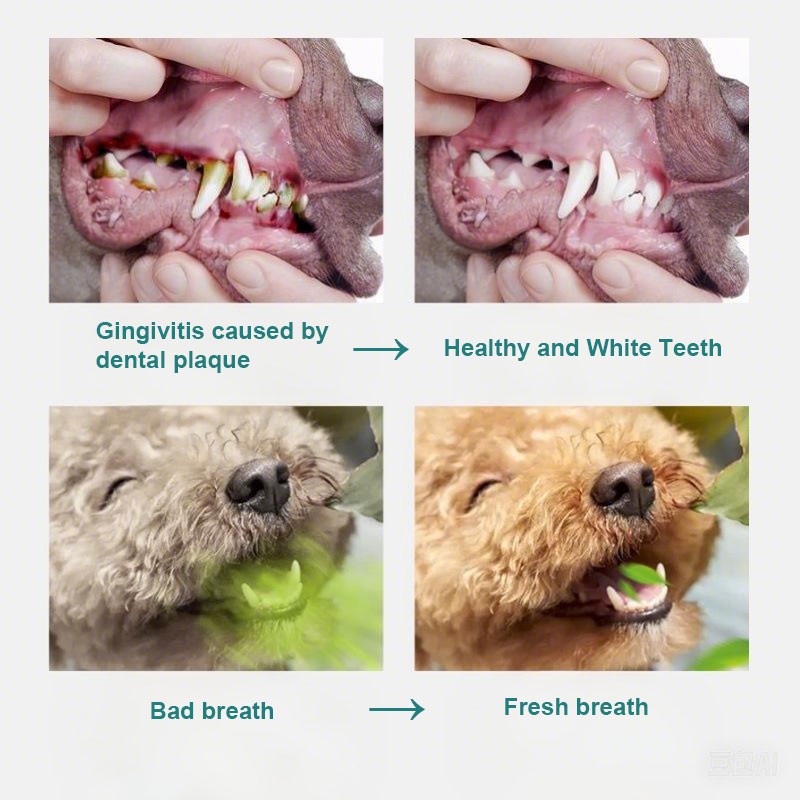 Pet Eye Care Supplier - Soft Finger Cot Wet Wipes for Eye Ear Care Mite Removal