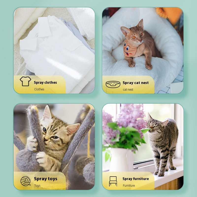 Pet Dry Shampoo Supplier - 260g Dry Cleaning Powder Deodorizing Shower Gel