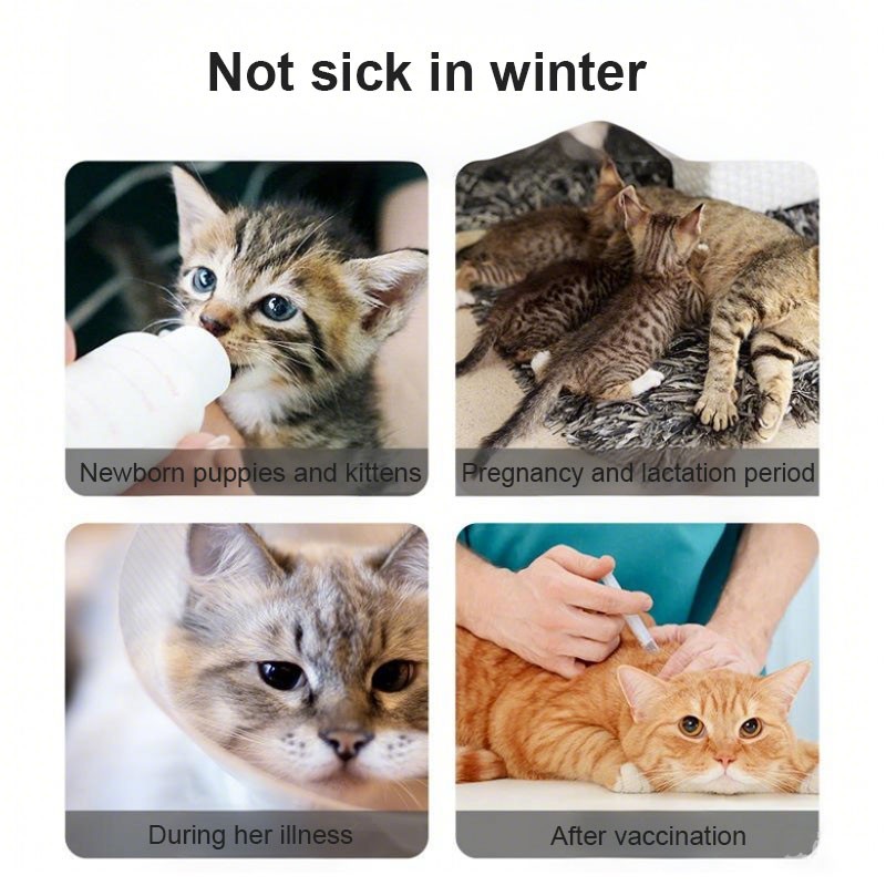 Pet Cleaning Wipes Factory - Soft Teeth Brush Oral Care Calculus Tartar Finger Cot