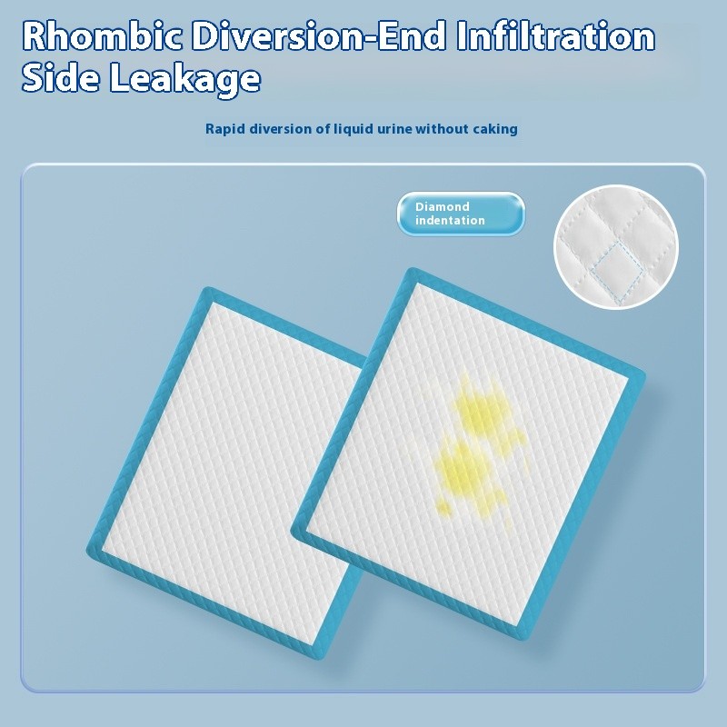 Cat Litter Box Supplier - Large Odor-Controlled Portable Sand-Proof Biodegradable