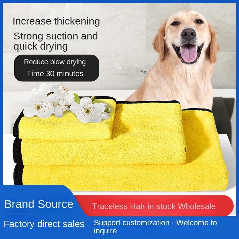 Pet Feeder Supplier - Wholesale Cross-Border Eco-Friendly Plastic Spoon Charging