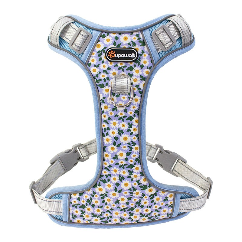 Nylon Dog Leash Supplier - Lightweight for Small Medium Large Dogs Padded Chest