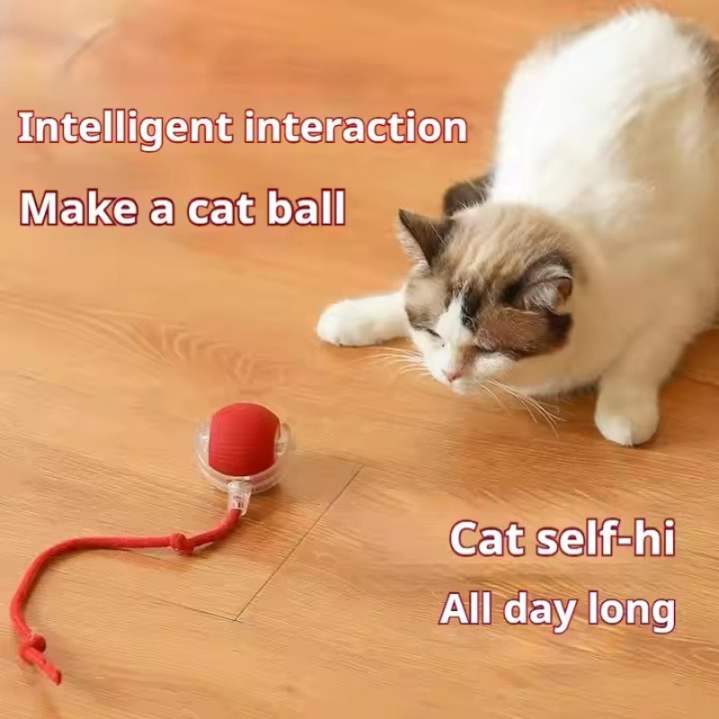 Pet Toy Supplier - Smart Interactive Indoor Automatic Moving Bouncing Ball with Lights
