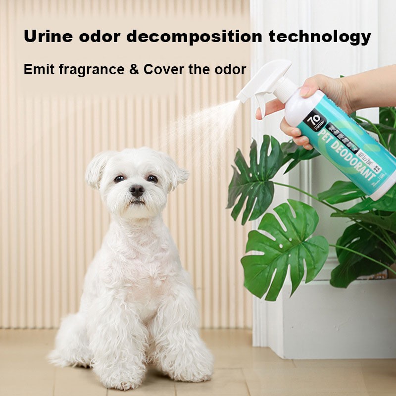 Cat Litter Deodorant Factory - Best-Selling Eco-Friendly Spray Urine Odor Remover