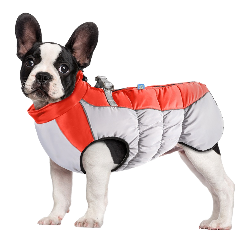 Dog Chest Strap Supplier - Factory Stock Multi-Color Thickened Nylon Button Closure