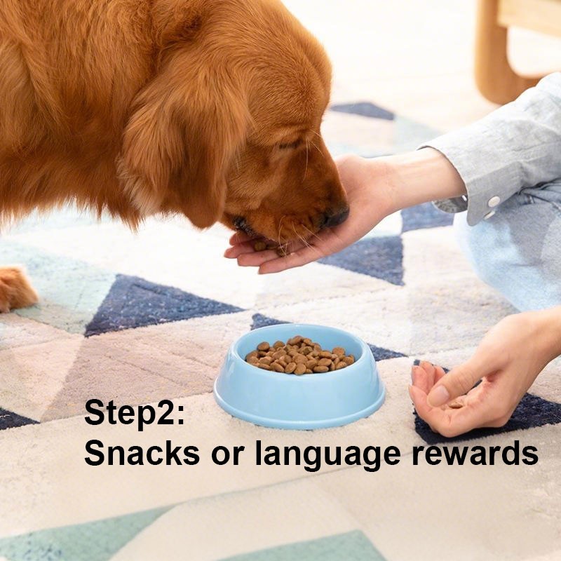 Pet Attraction Spray Manufacturer - 60ML Soothing Cat Mint Spray Happy Water Inducer