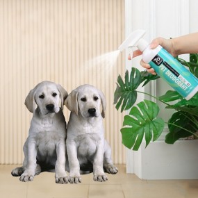 Pet Grooming Set Supplier - High Quality Stylish Practical Plastic Silicone Brush