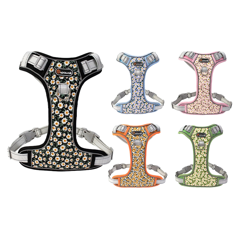 Nylon Dog Leash Supplier - Lightweight for Small Medium Large Dogs Padded Chest