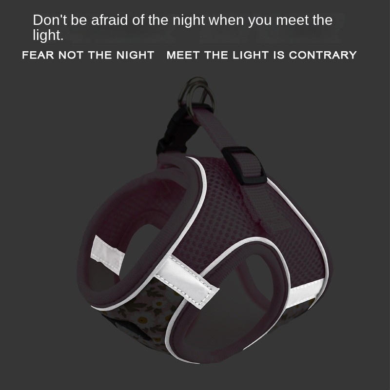 Dog Rope Factory - Hot Sale Medium Large Telescopic Reflective Pure Cotton Padded