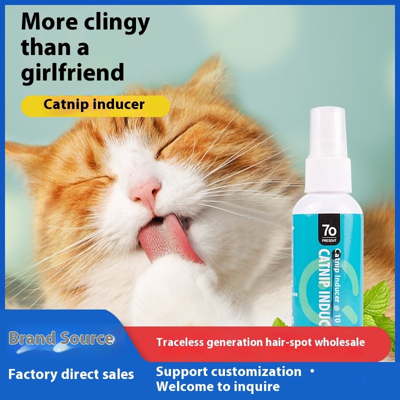 Pet Dry Shampoo Supplier - 260g Dry Cleaning Powder Deodorizing Shower Gel