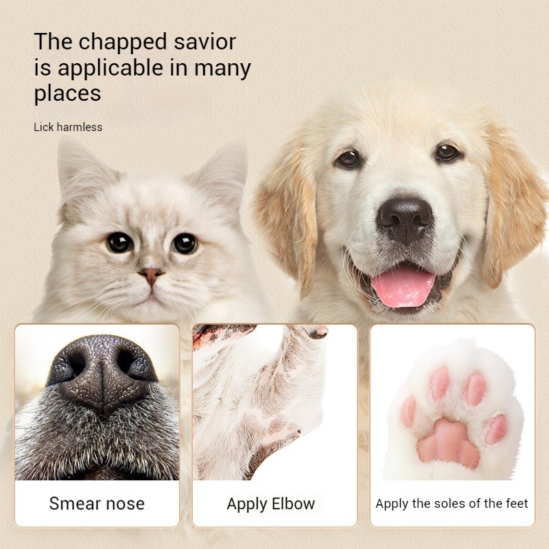 Pet Ear Cleaning Supplier - 110-Piece Cotton Swab Set Essential Oil Earwax Removal