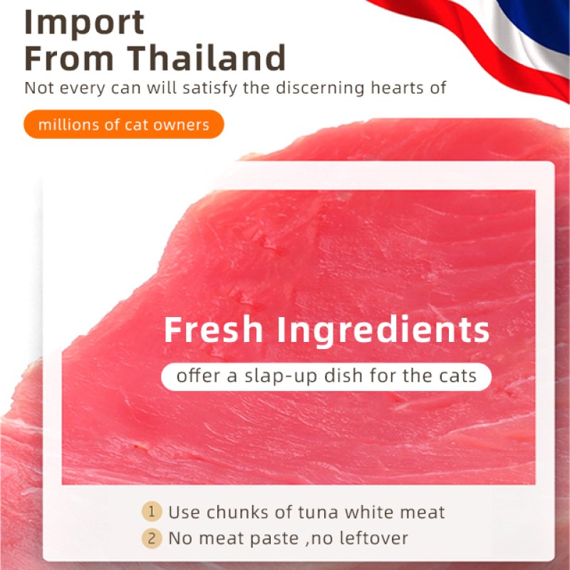 Premium Wet Cat Food Supplier - Fresh Chicken Salmon Tuna