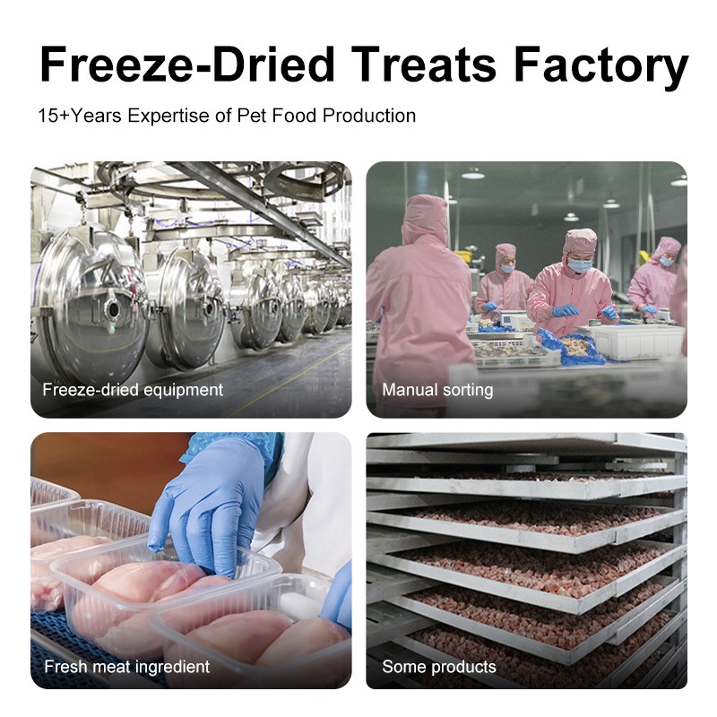 Freeze Dried Pet Treats Supplier - OEM High Quality Protein