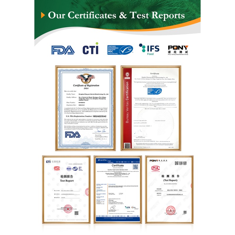 Freeze Dried Cat Snacks Supplier - High Quality Manufacturers