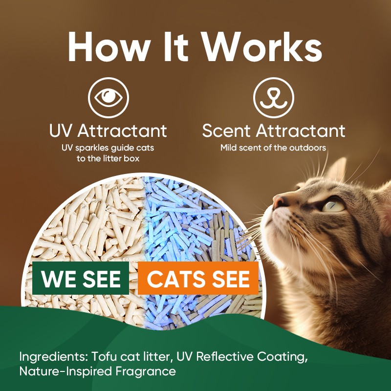 Premium Clumping Bentonite Litter Supplier - UV Attractant Tofu