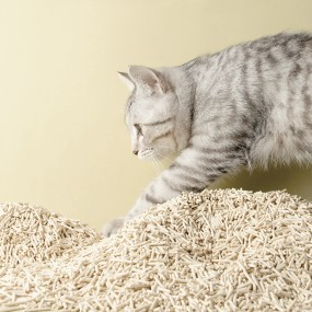 Dust-free Cat Litter Manufacturer - Bulk Wholesale Private Label