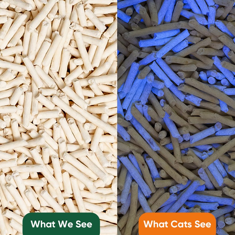 Clumping Clay Tofu Cat Litter Factory - 2025 New Arrival Dust-Free